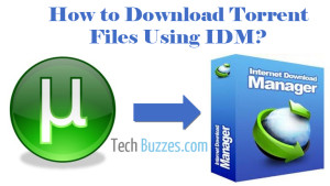 Download Torrent Files using IDM, Download Torrent Files, IDM download, TechBuzzes, How To Download Torrent Files using IDM,