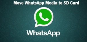 move WhatsApp images and videos, WhatsApp images and videos,techbuzzes